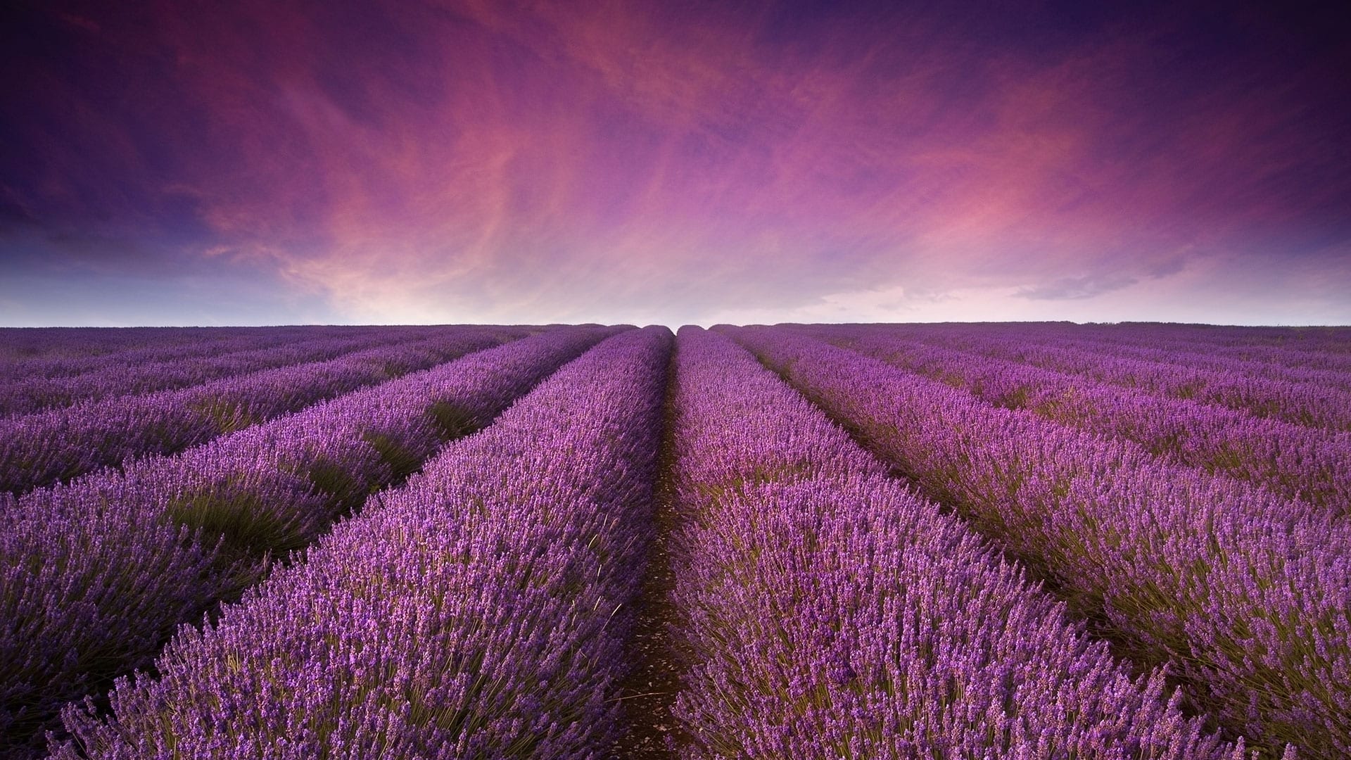 twilight-homes-lavender-estates